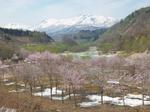 140504_140340.jpg