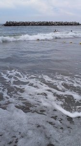160803_1340~01.jpg