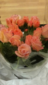 2016030917260000.jpg