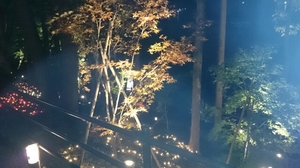 20161031125132296.jpg