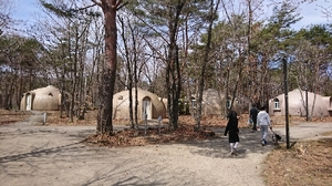 20190421091815986.jpg