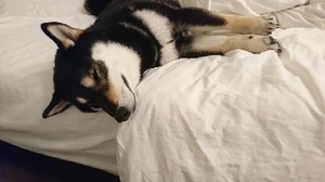 20190421092242039.jpg