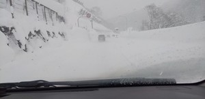 IMG_20210111_133846 (002).jpg