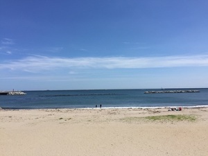 IMG_3937.jpg