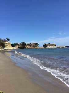 IMG_3945.jpg