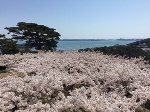 IMG_5460.jpg